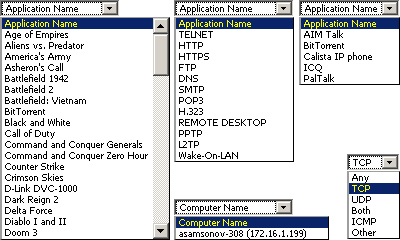 Application Protocol (Port Forwarding, Virtual Server, Special Applications), Transport Protocol, Computer Name